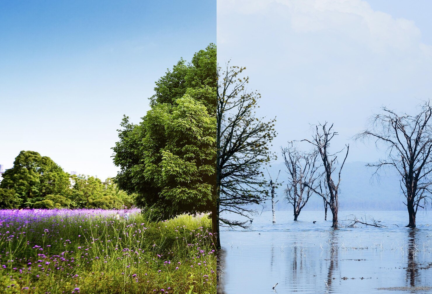 Top 10 Factors Contributing to Climate Change
